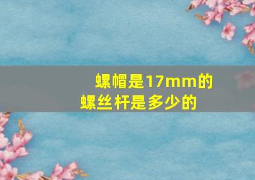 螺帽是17mm的 螺丝杆是多少的